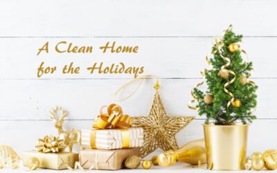 Home Cleaning for the Holidays