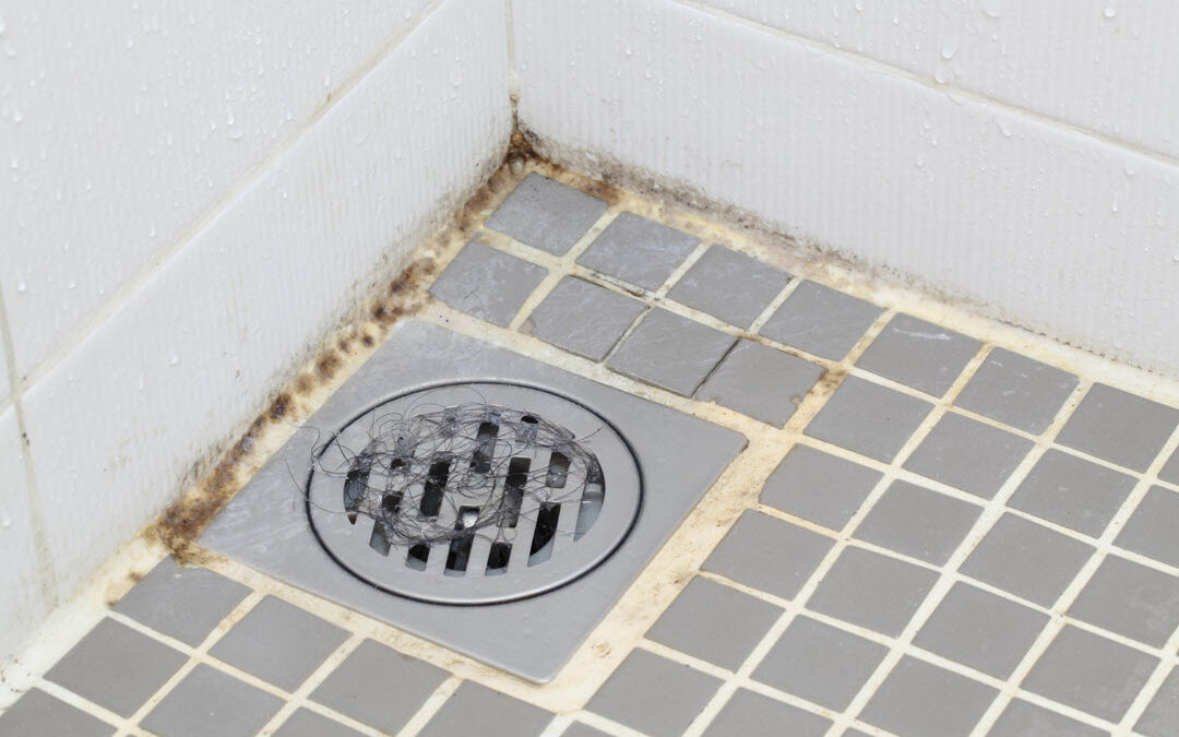 Preventing Mold In Your Bathroom